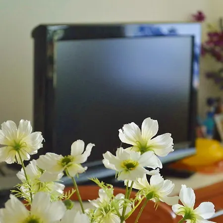 Happy Apartament *